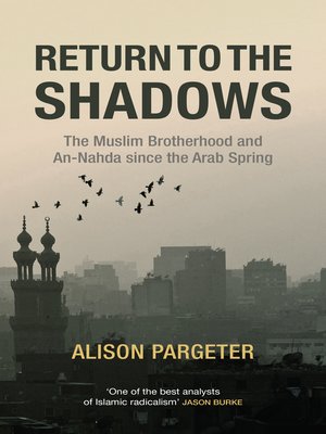 cover image of Return to the Shadows